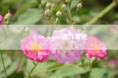 平阳第九金是