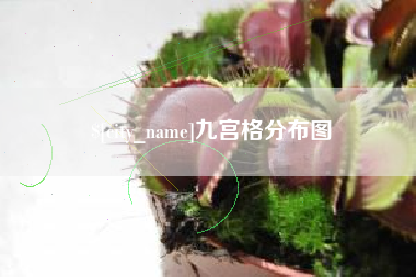平阳九宫格分布图