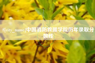 平阳中国消防救援学院历年录取分数线