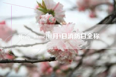 平阳11月9日消防日全称