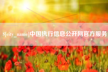 平阳中国执行信息公开网官方服务