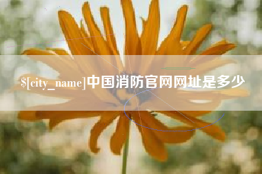 平阳中国消防官网网址是多少