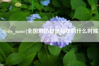 平阳全国消防日是每年的什么时候