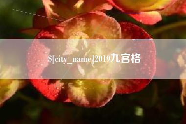 平阳2019九宫格