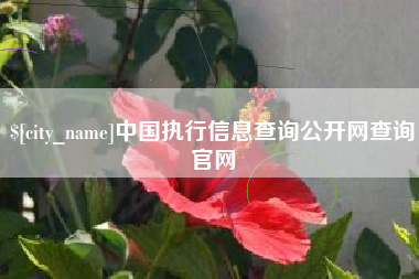 平阳中国执行信息查询公开网查询官网