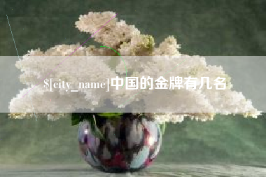 平阳中国的金牌有几名