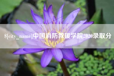 平阳中国消防救援学院2020录取分