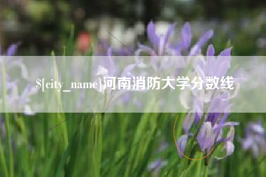 平阳河南消防大学分数线