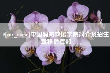 平阳中国消防救援学院简介及招生章程指挥部