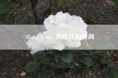 平阳消防证的查询