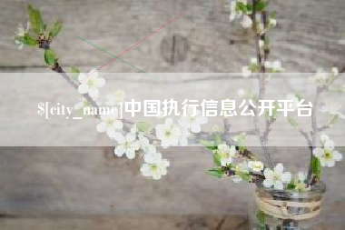 平阳中国执行信息公开平台