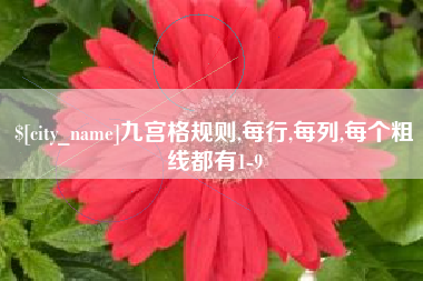 平阳九宫格规则,每行,每列,每个粗线都有1-9