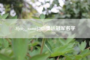 平阳2024奥运冠军名字