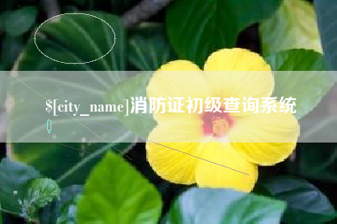 平阳消防证初级查询系统