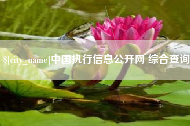 平阳中国执行信息公开网 综合查询