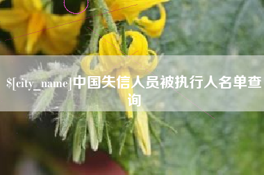 平阳中国失信人员被执行人名单查询