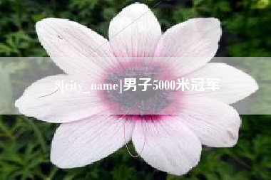 平阳男子5000米冠军