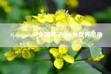 平阳全国男子5000米世界纪录