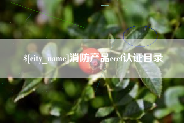 平阳消防产品cccf认证目录