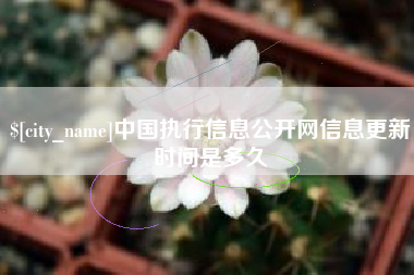 平阳中国执行信息公开网信息更新时间是多久