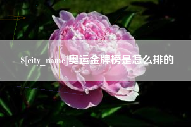 平阳奥运金牌榜是怎么排的