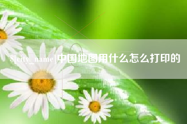 平阳中国地图用什么怎么打印的