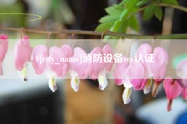 平阳消防设备ccc认证