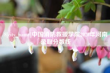 平阳中国消防救援学院2020年河南录取分数线