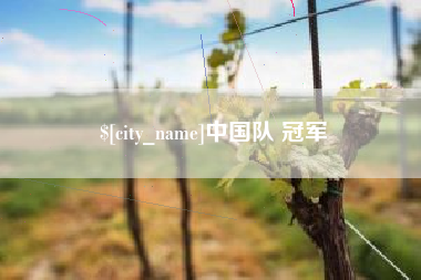 平阳中国队 冠军