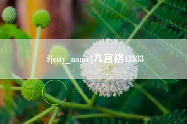平阳九宫格42633