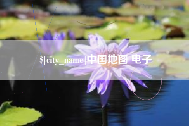 平阳中国地图 电子