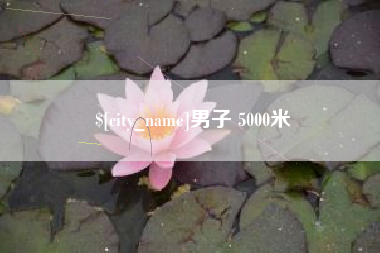 平阳男子 5000米