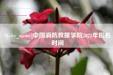 平阳中国消防救援学院2021年报名时间