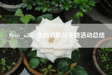平阳全国消防日主题活动总结