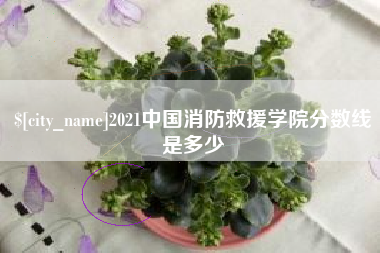 平阳2021中国消防救援学院分数线是多少
