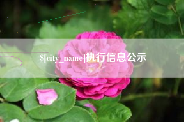 平阳执行信息公示