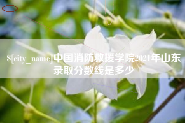平阳中国消防救援学院2021年山东录取分数线是多少