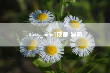 平阳成都 消防