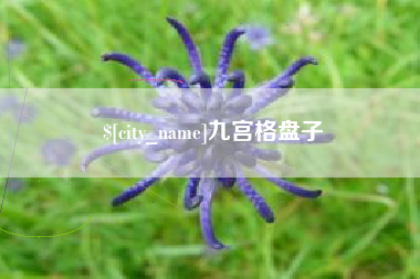 平阳九宫格盘子