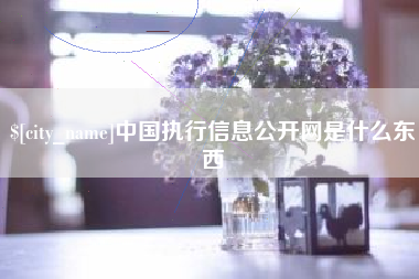 平阳中国执行信息公开网是什么东西