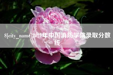 平阳2021年中国消防学院录取分数线