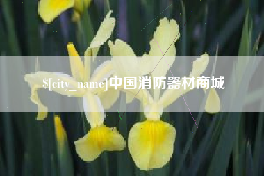 平阳中国消防器材商城