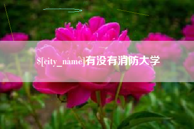 平阳有没有消防大学