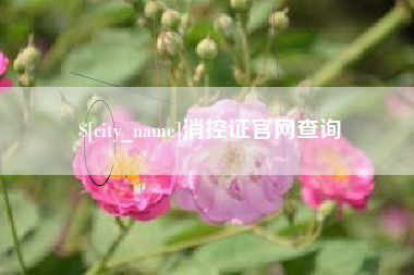 平阳消控证官网查询