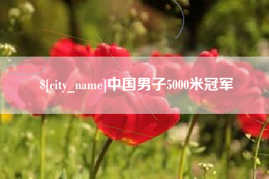 平阳中国男子5000米冠军
