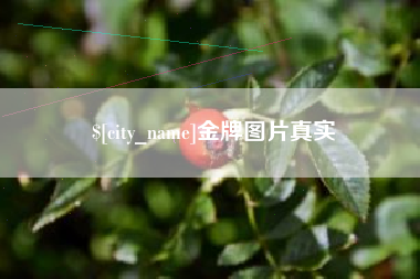 平阳金牌图片真实