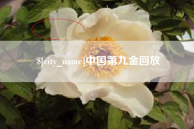 平阳中国第九金回放