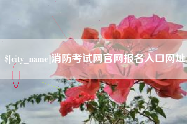 平阳消防考试网官网报名入口网址