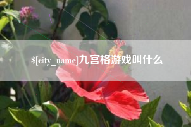 平阳九宫格游戏叫什么