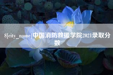 平阳中国消防救援学院2021录取分数